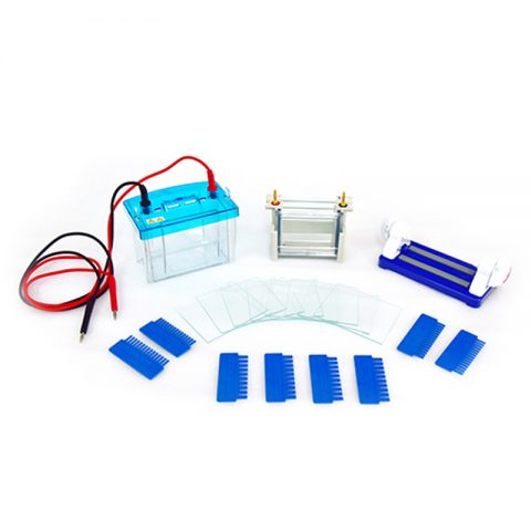 六一生物雙垂直電泳儀DYCZ-24DH