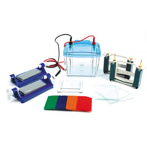 六一生物垂直電泳儀DYCZ-25EP4