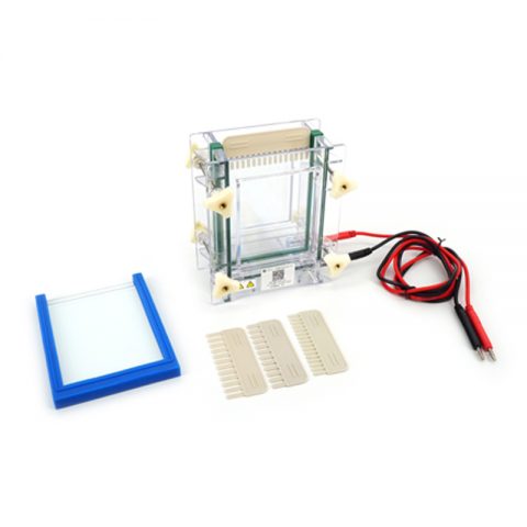 六一生物夾芯式垂直電泳儀（?。〥YCZ-28A