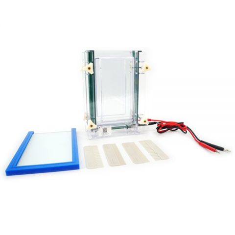 六一生物夾芯式垂直電泳儀（大）DYCZ-28B