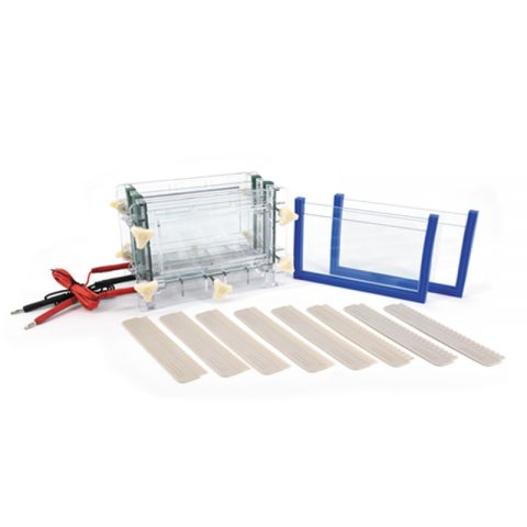 六一生物雙板夾心式垂直電泳儀DYCZ-30C