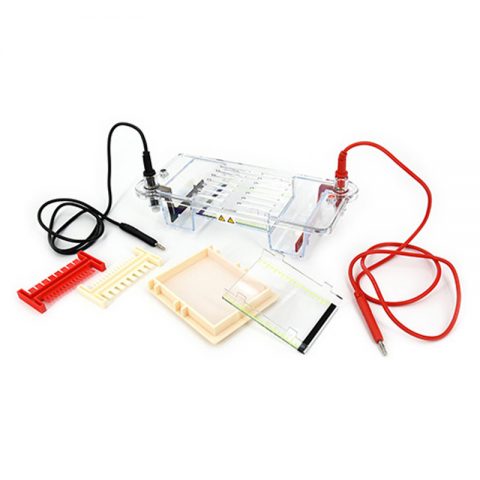 六一生物瓊脂糖水平電泳儀DYCP-31CN