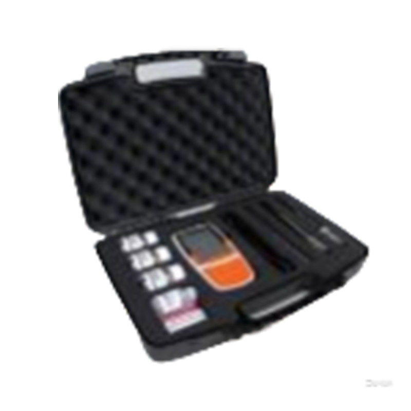 上海般特Bante904P-CN便攜式多參數水質(zhì)測量?jì)x